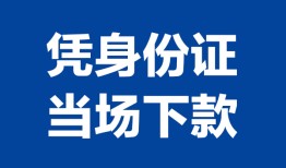 成都应急私人贷款额-成都应急贷款当天放款-成都应急大额短借