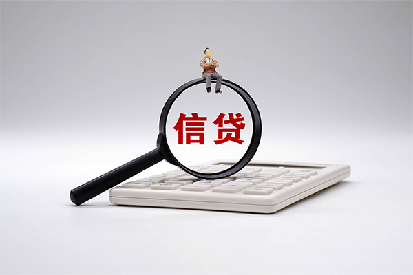 成都应急身份证借私借
